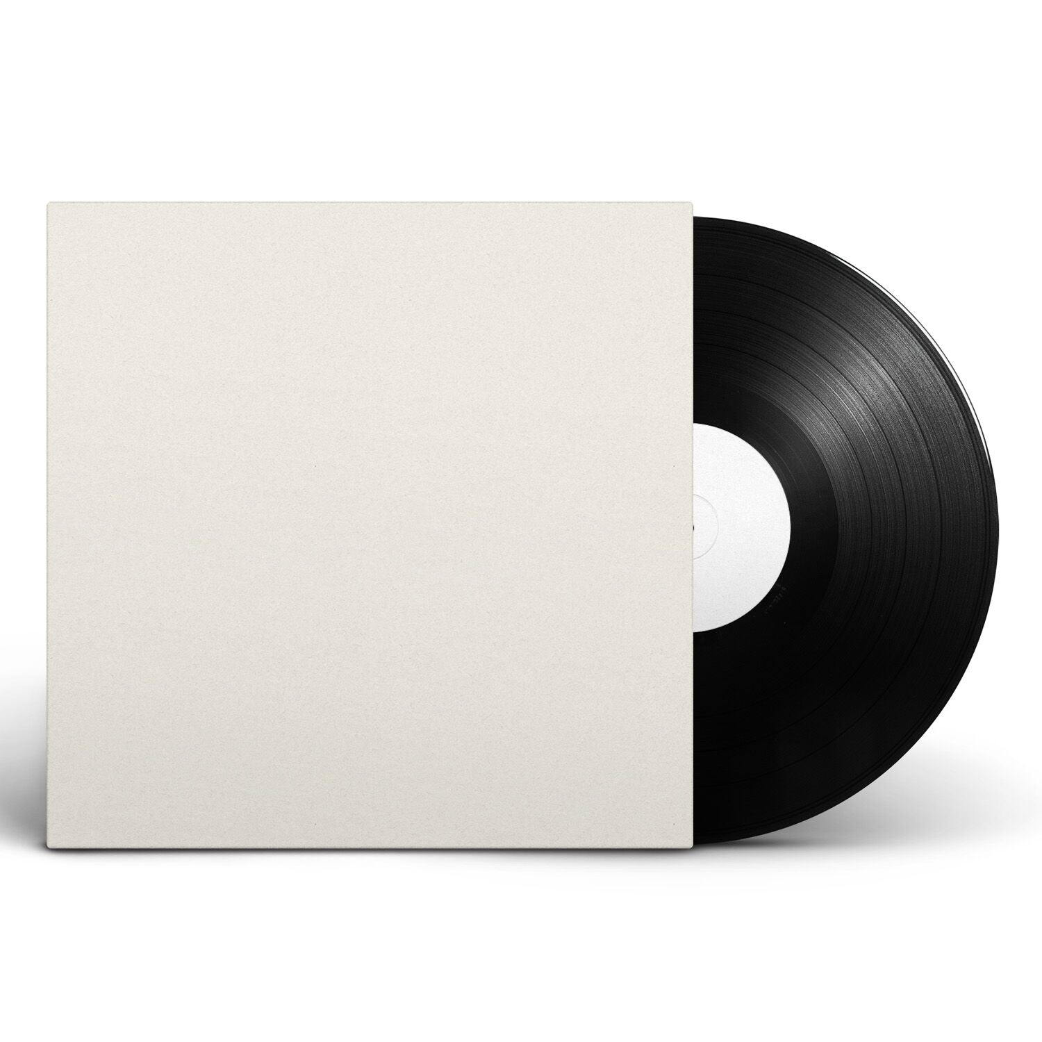 blank vinyl album cover