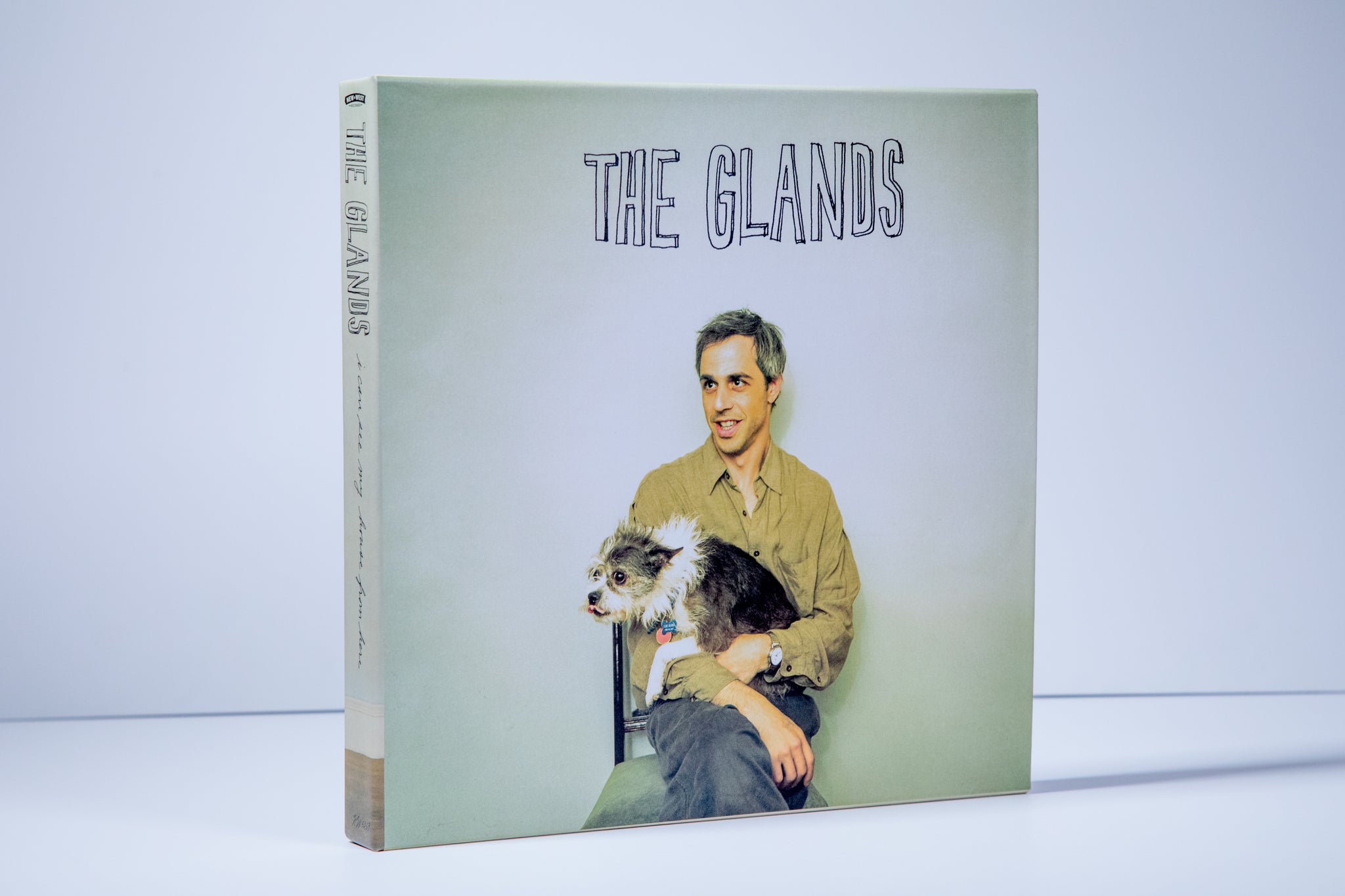 The Glands - I Can See My House From Here [Color Vinyl Box Set]