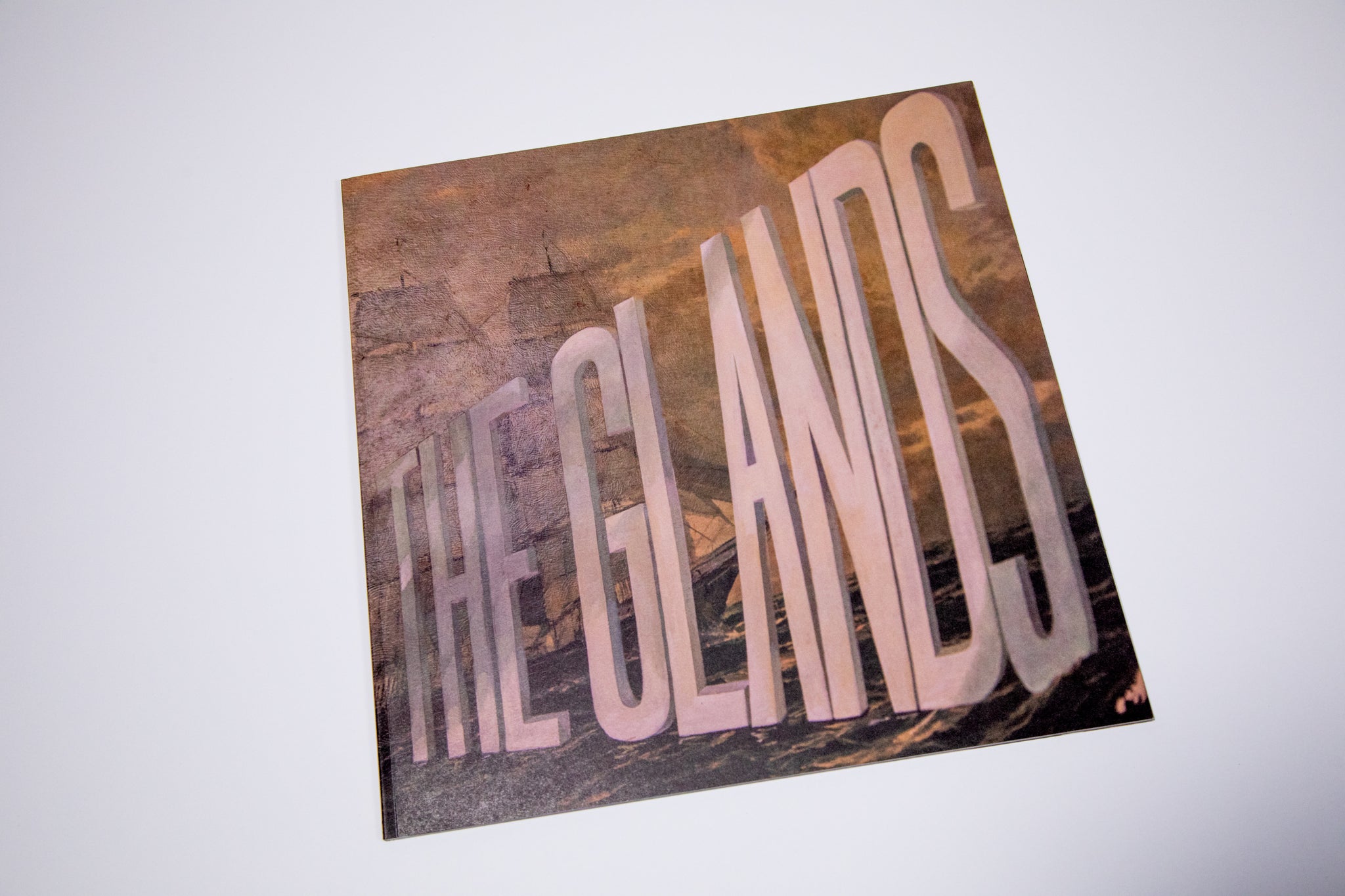 I Can See My House From Here Lyrics The Glands
