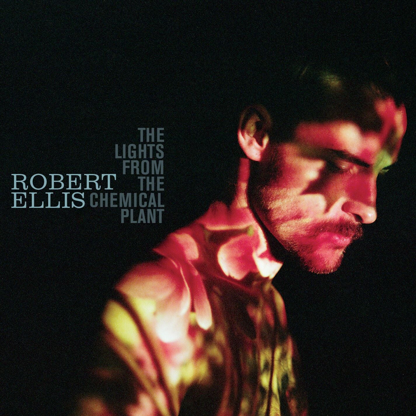 Robert Ellis LP サイン入り カラーヴァイナル Vinyl Robert Ellis - The Lights From The Chemical Plant [Vinyl] – New